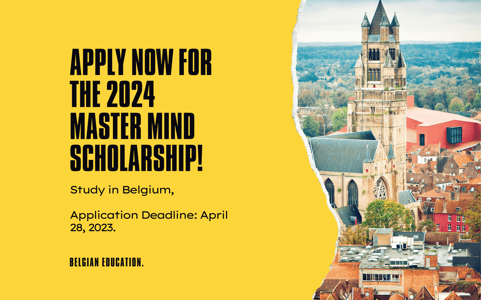 Master Mind Scholarship in Belgium