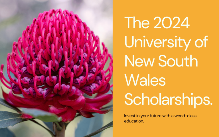 University of New South Wales Scholarships