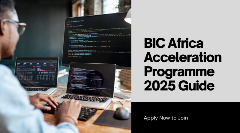 BIC Africa Acceleration Programme 2025 Application