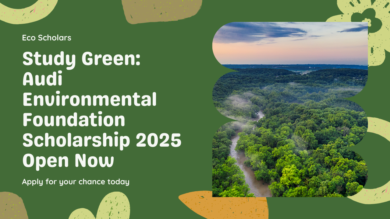 Study Green: Audi Environmental Foundation Scholarship 2025 Open Now