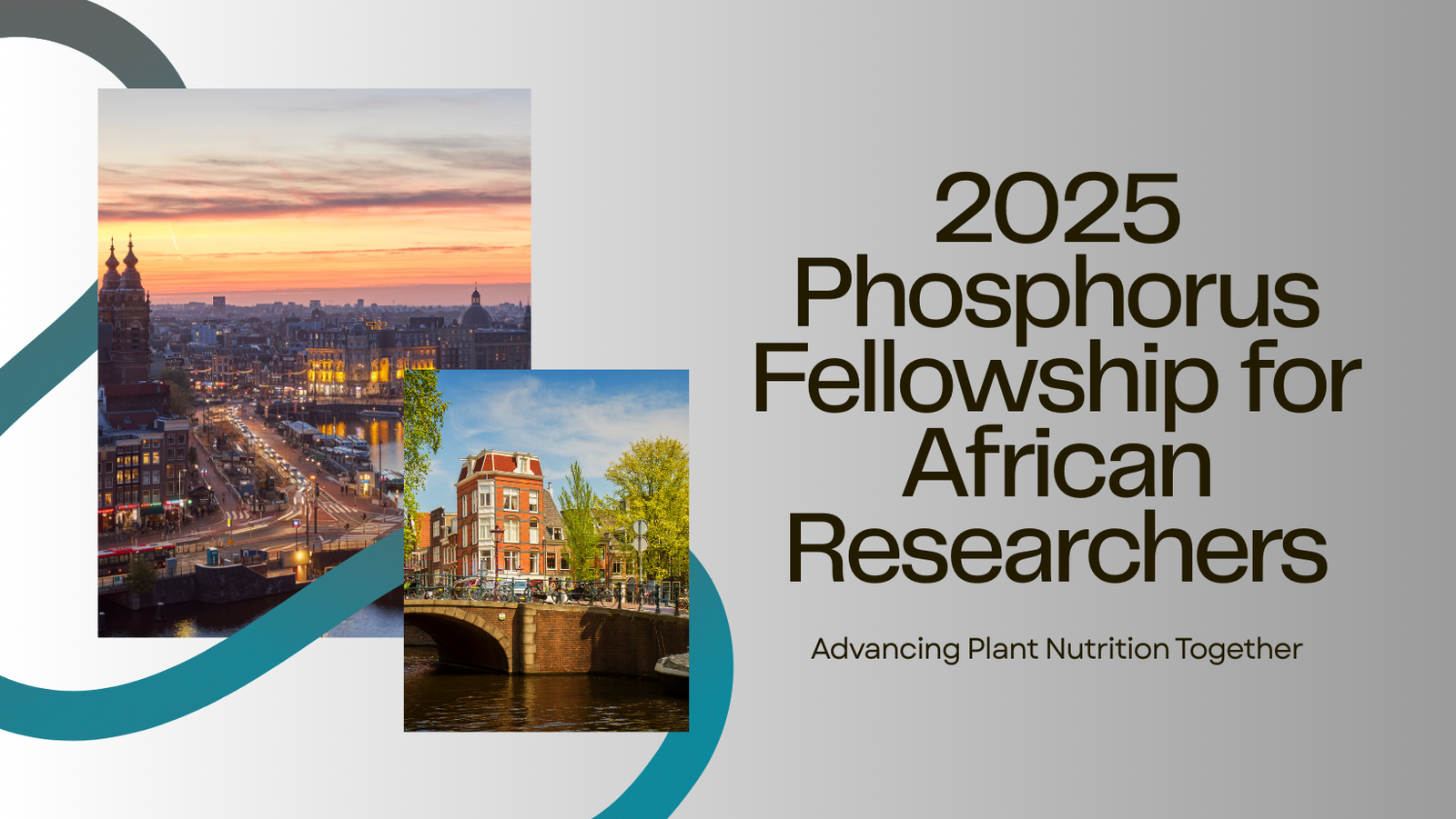 2025 Phosphorus Fellowship for African Plant Nutrition Researchers