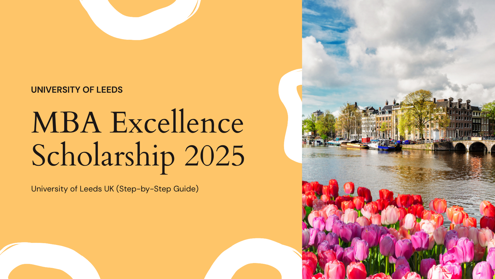 MBA Excellence Scholarship