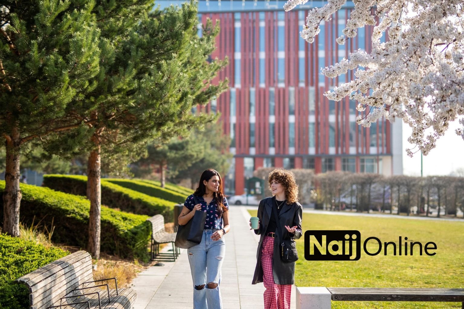 Highest Paid Jobs in USA with Visa Sponsorship in 2025