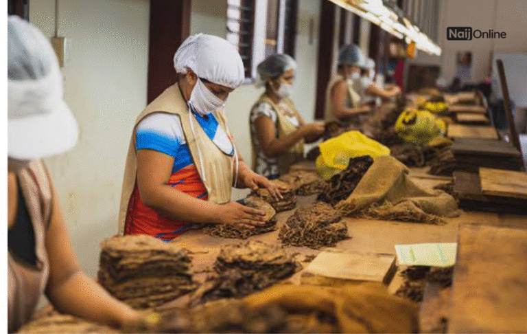 High Paying Companies Offering Job Sponsorship in Ireland